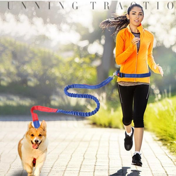 

running elastic retractable traction rope pet anti-loose design outdoor sports equipment colorful dog collars & leashes