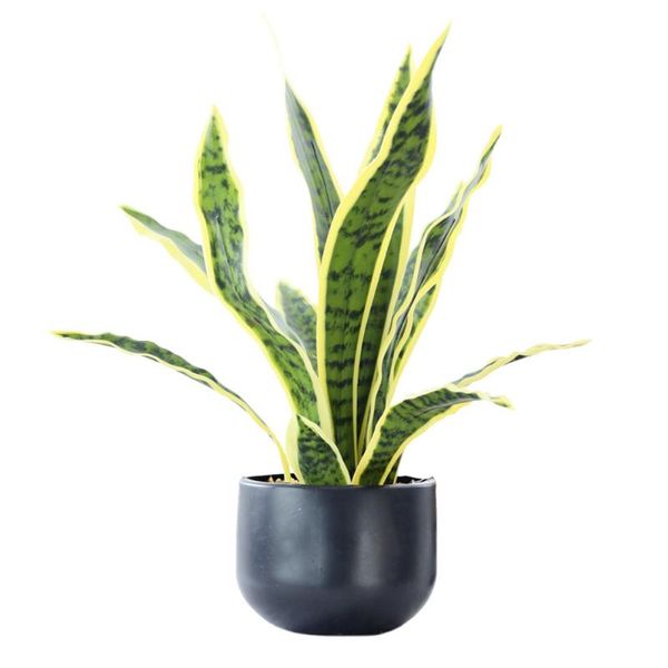 

decorative flowers & wreaths artificial tiger piran snake plant potted plants office decor outdoor spring home tiger-piran indoor beautiful