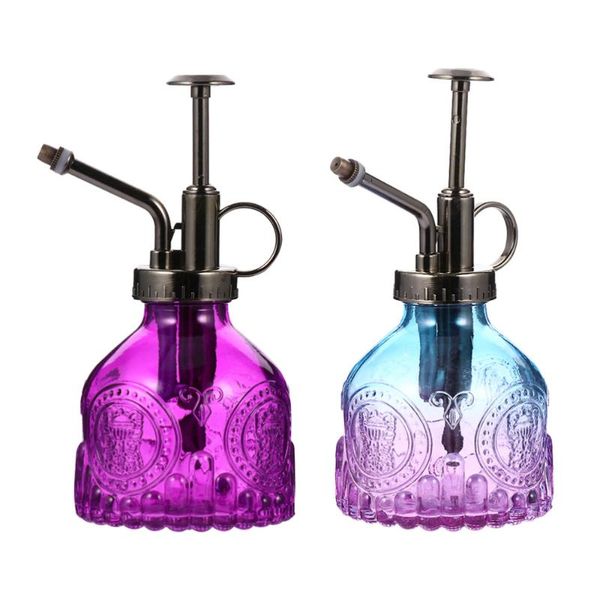 

2pcs vintage watering bottle glass can sprayer gardening equipments