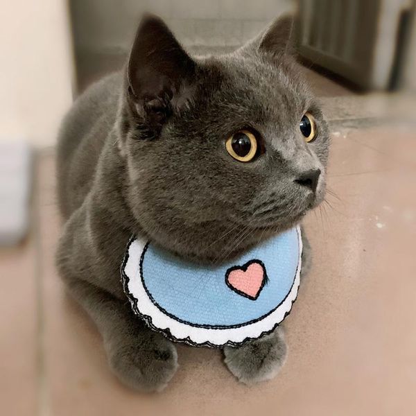 

cat costumes bulk adjustable dog collar bib lace wohlesaler pet bandanas for small dogs gotas mascotas accessories puppy cats supplies