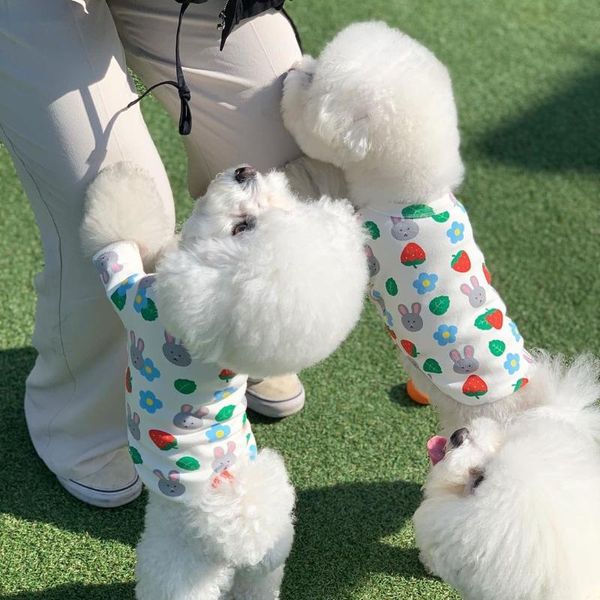 

dog apparel superpetket cotton shirt for puppy clothes strawberry sweater costume pets accessories cat cute t-shirt