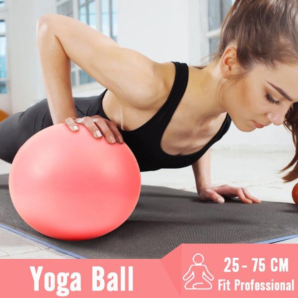 Exercise balls 55