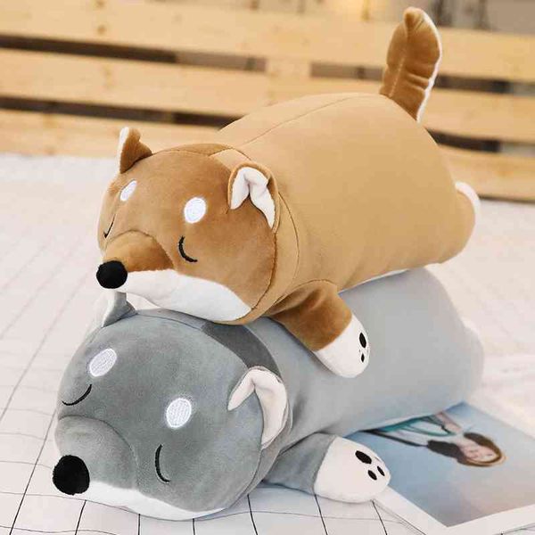 

soft pillow chai down cotton husky doll japanese akita plush toy corky dog