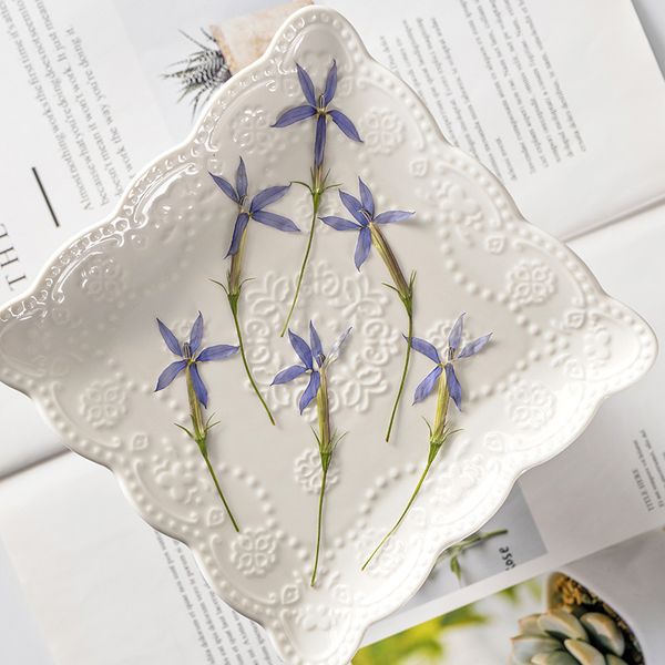 

star flower embossing mobile phone case painting plant specimen dry bookmark face decoration festival gift design