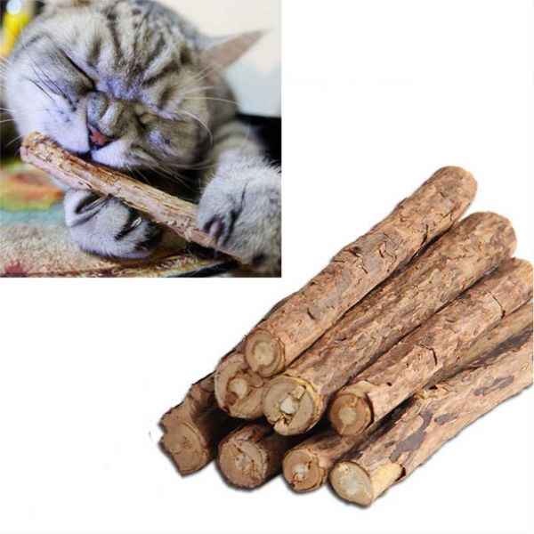 

cat toys 5pcs pet kitten chew stick treat toy natural matatabi polygama catnip molar toothpaste cleaning teeth for