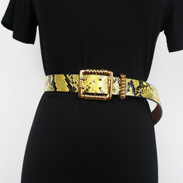 

belts women's runway fashion snake skin print pu leather cummerbunds female dress corsets waistband decoration wide belt r122, Black;brown