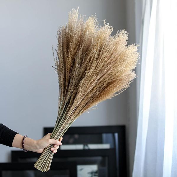 

decorative flowers & wreaths 15pcs pampas grass decor real dried reed bouquet wedding marriage decoration home room table flores preservadas