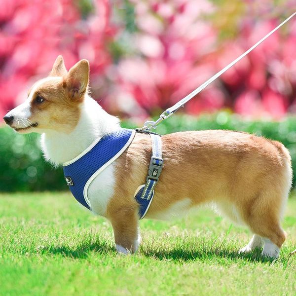 

dog collars & leashes harness summer pet adjustable reflective vest walking lead leash for puppy polyester mesh small medium