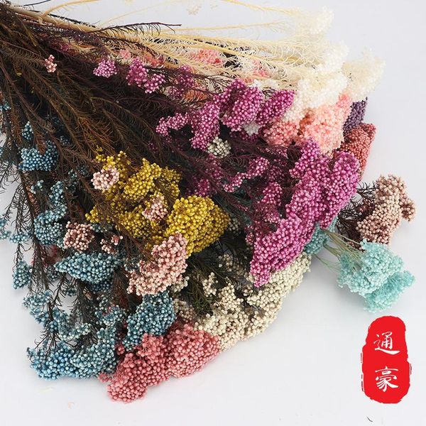 

decorative flowers & wreaths quality is not easy to out meters living popcorn eternal life hua li he with home plug 70g