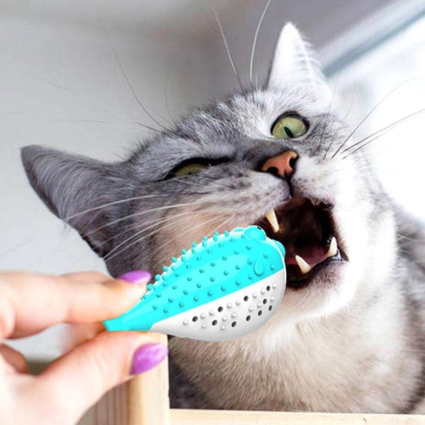 

cat toys puffer fish toothbrush catnip molar tooth cleaner kitten tpr soft detachable bite-resistant chew play toy pet accessories