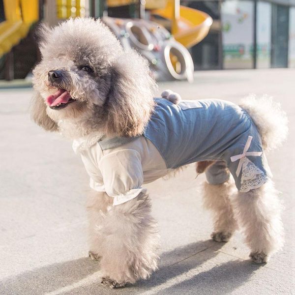 

dog apparel clothes for small dogs pet teddy breathes four feet winter