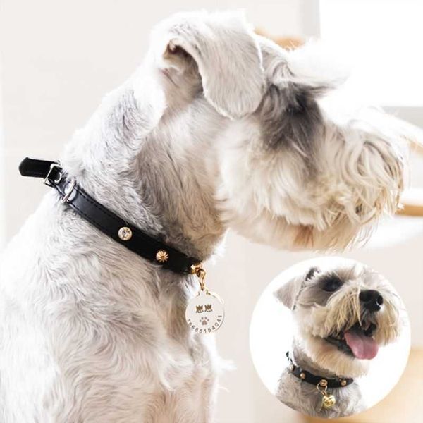 

pet necklaces, collars, bells, traction, large medium-sized dog, anti loss, id card, lettering, cat and dog je