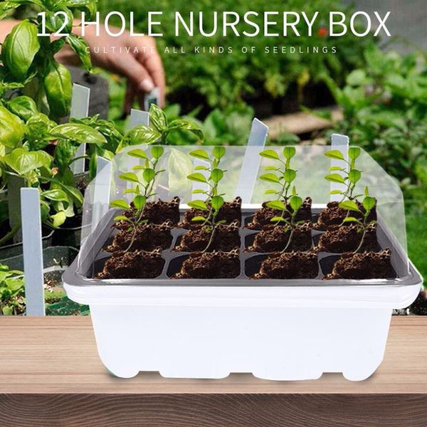 

planters & pots 3pcs 12hole nursery planting seed tray kit plant germination box seedling garden grow gardening supplies