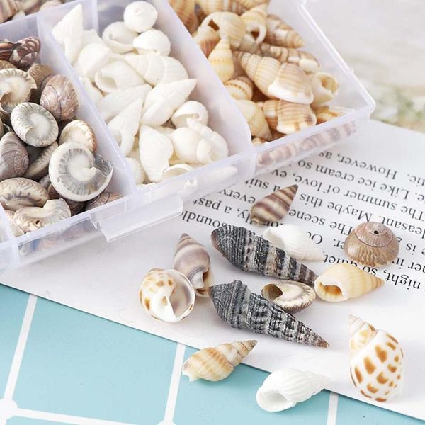 

about 100pcs/box natural conch shells mini corn screw wall decoration diy aquarium landscape seashells crafts/party decor decorations