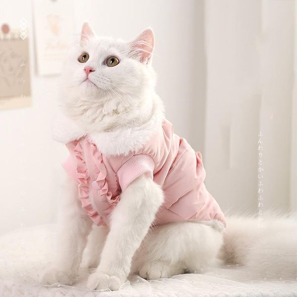 

cat costumes autumn and winter thick cactus print pet knitted sweater teddy