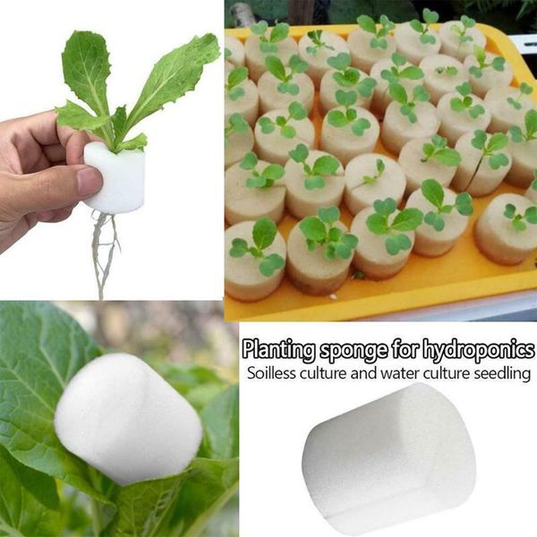 

nursery pots 50pcs vegetable net cups basket cylinders sponge grow planters &