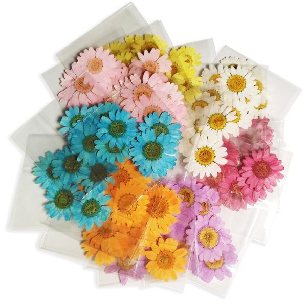 

180pcs mixed natural real dried pressed chrysanthemum daisy flowers for scrapbooking diy candle decoration resin jewelry crafts nail art dec, Silver;gold
