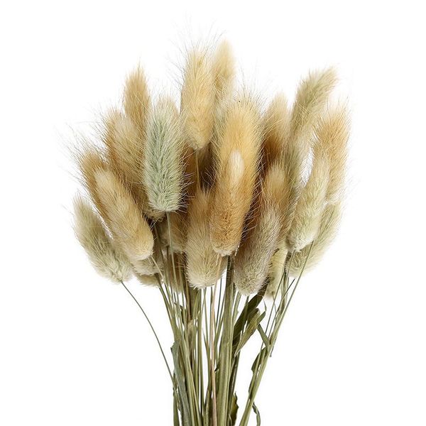 

decorative flowers & wreaths 50 dried tiny tail grass artificial dry pampas real diy fall party decor home decoration