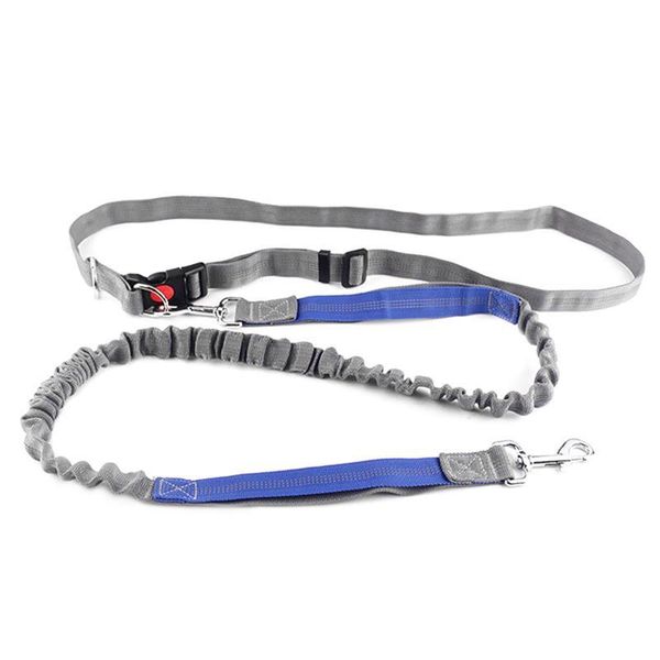 

dog collars & leashes collar pet elastic belt running leash set hands puppy harness pets supplies