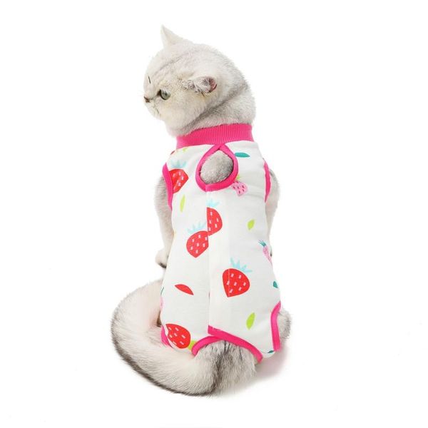 

cat costumes clothes summer clothing for cats kitten postpartum anti licking wound sterilization vest pet puppy