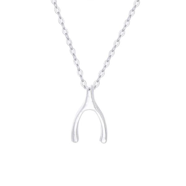 

simple wishing necklace small pendant series clasp chain, Silver