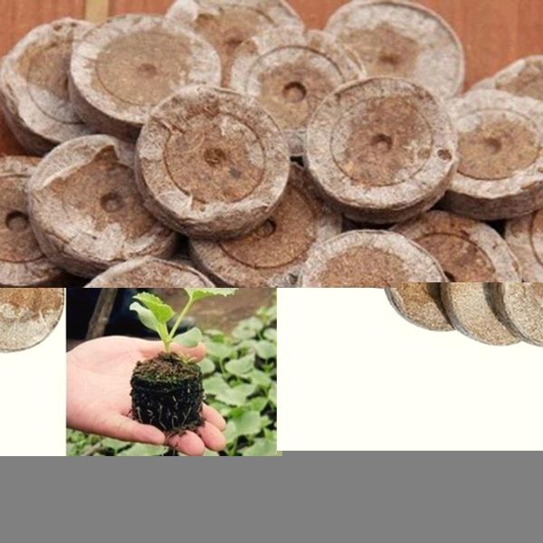 

peat pellets seed germination flowers seeds starter pallet nutrient substance planting seedling soil block 10 pcs planters & pots