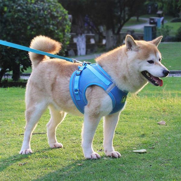

pet dog harness leash set breathable mesh vest for small medium reflective puppy collar walking lead accessories collars & leashes