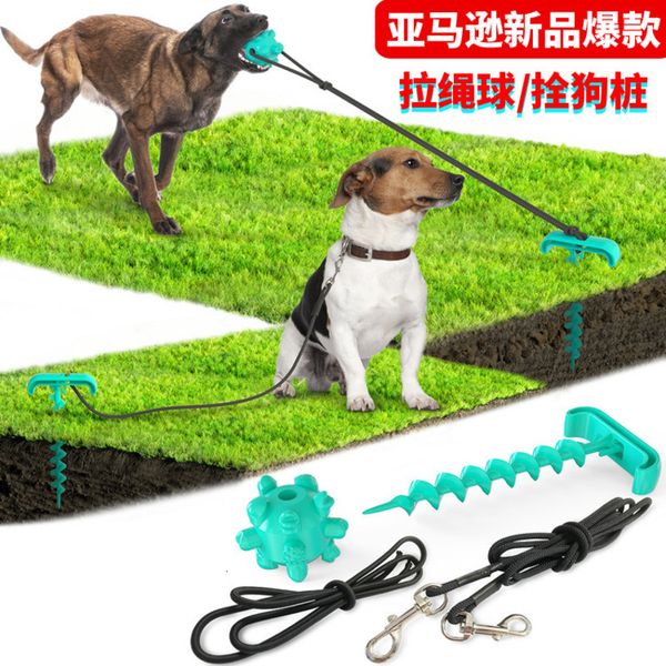 

pet products sell well outdoor ground peg walking tug of war dog toys