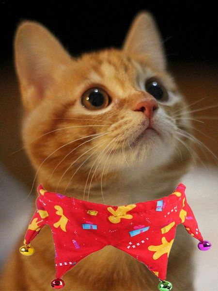 

cat collars & leads christmas pet collar with bells jewelry accessories adjustable dog holiday dress up for puppies scarf clothing