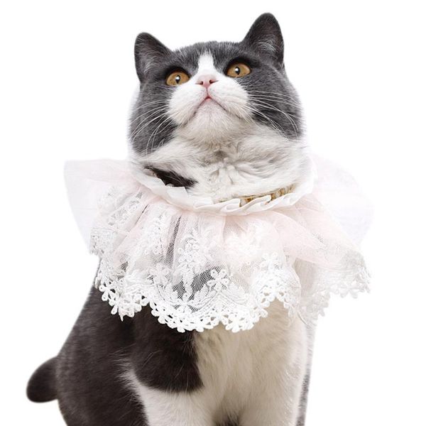

pet scarf lace floral fake pearl decor adjustable dog collar cat bandana clothing accessories supplies party dress up apparel