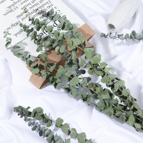 

decorative flowers & wreaths 10pcs/bouquet natural eucalyptus leaves dried flower home decor wedding ornament party supply branches stems fl