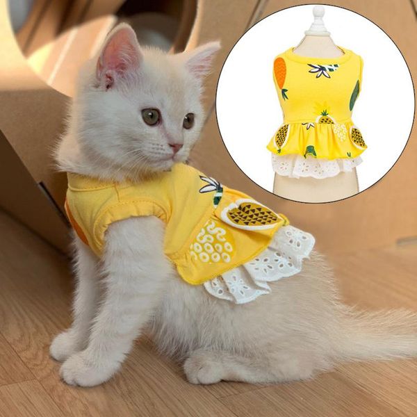 

cute pineapple pet cat dresses for cats summer cooling dress skirt kitty clothes clothing kedi elbisesi ropa para gato costumes