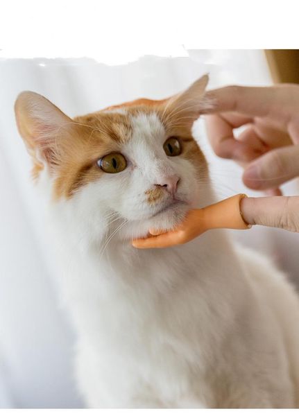 

cat costumes funny little finger silicone gloves massage pet toy model tiny hands accessories