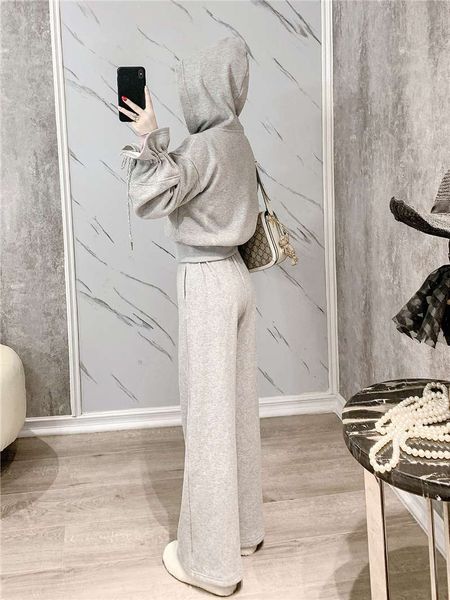 

women's tracksuits korean plush sweater ~ small casual fashion sports suit for women autumn winter gtey, Gray