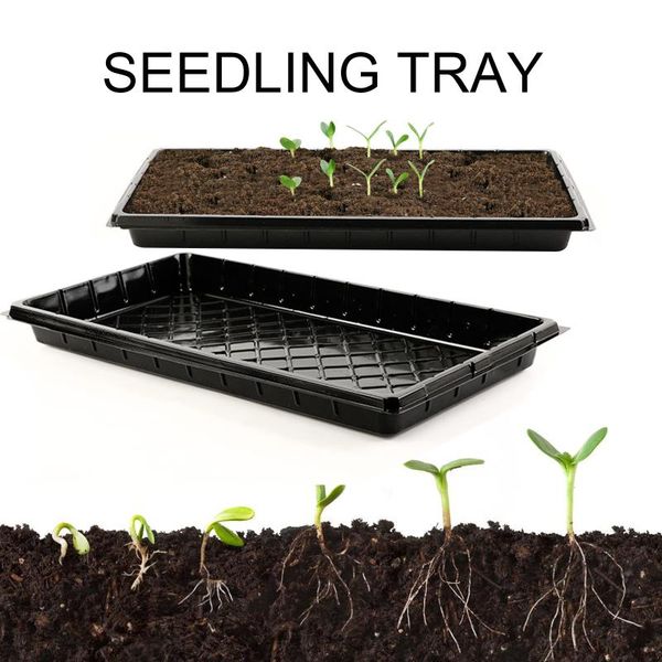 

planters & pots seedlings tray greenhouse growing plate planting sprout trays soil-seed base breeding box plant germination plastic