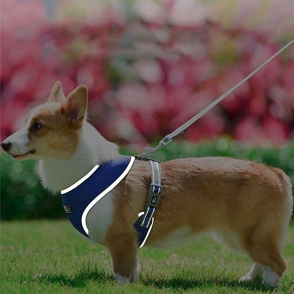 

dog harness vest nylon reflective soft pet for small big dogs running training belt collars & leashes
