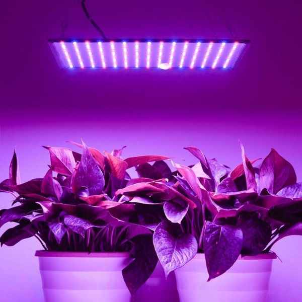 

grow tent 1000w led light lamp for plants full spectrum phyto fitolampy energy saving indoor herbs lights flowers