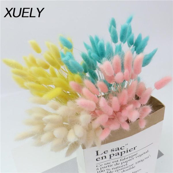 

decorative flowers & wreaths 30pcs/bouquet natural dried bunch tail grass real flower bouquet lagurus ovatus for home wedding decorat