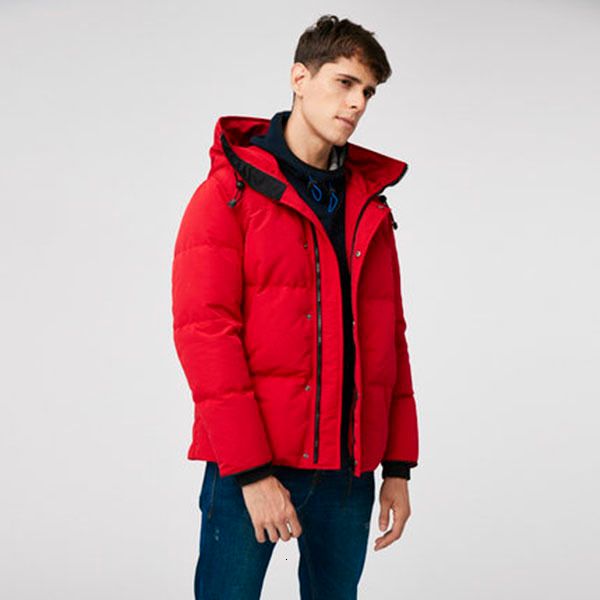 

mens winter down jacket puffer jackets hooded thick coat men duck down feather puffer winter coat, Black