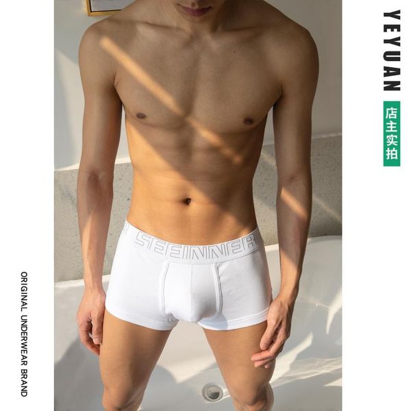 

underpants 3pcs/lot sport basketball men's pure cotton simple waist boyshort underwear boxers shorts trend for young students, Black;white