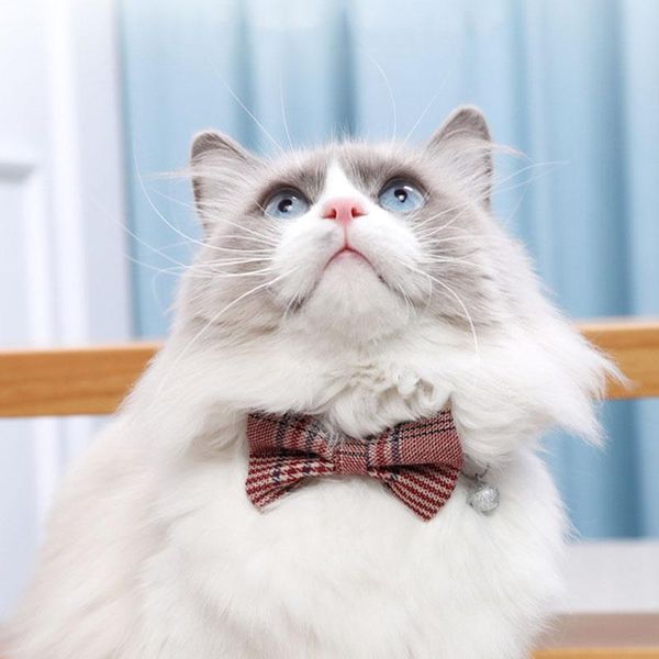 

cat collars & leads plain color bow collar cotton adjustable safety buckle bowtie bell breakaway harness for small dogs wholesale