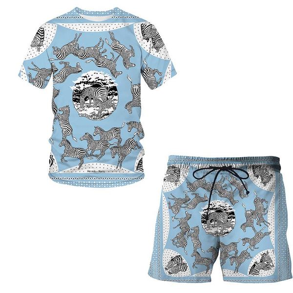 

men's tracksuits summer zebra 3d luxury short-sleeved suit man / woman casual clothes t-shirt + shorts 2-piece streetwear men clothing, Gray