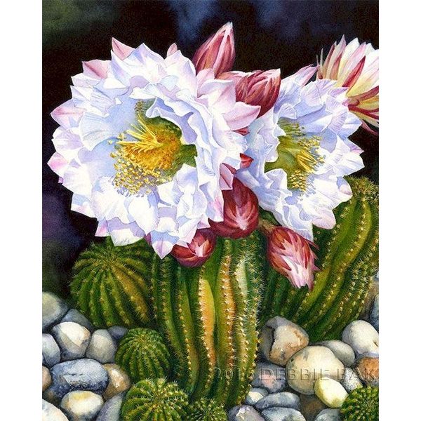 

paintings oil painting by numbers cactus flower paint for adults scenery home decor arcylic handpaint kit coloring