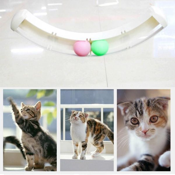 

cat toys pet automatic self-teasing funny sucker track ball toy