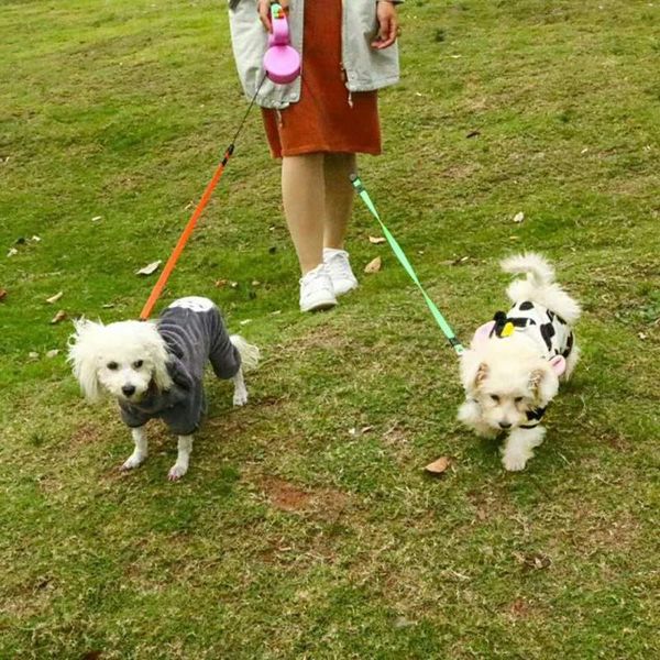 

dog collars & leashes 3m pet leash retractable walking