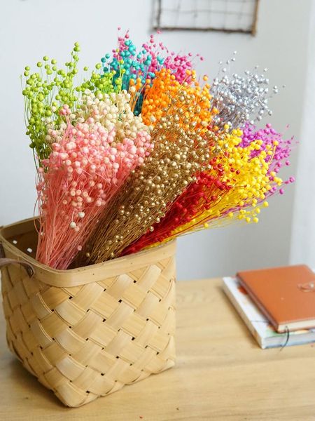 

decorative flowers & wreaths preserved ormosia hosiei natural real colorful dried rich beans for floral bouquet home decoration