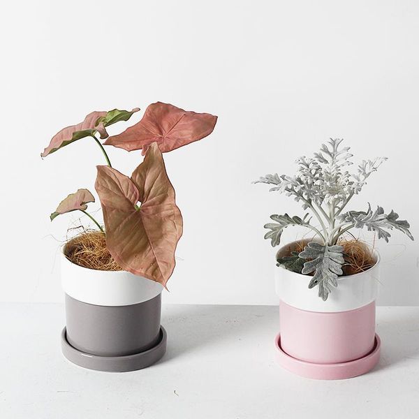 

balcony decorations pot flower pots decorative cactus seeds pflanzen plant kwietnik stojacy planter donice ogrodowe planters &