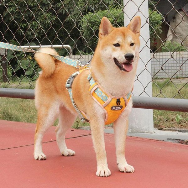 

cat collars & leads dog harness no pull reflective vest adjustable pet