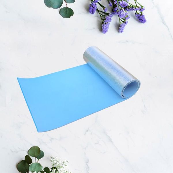 

outdoor pads foldable picnic mat lightweight pad waterproof cushion multi-functional for travel (blue 180 x 50 0.6cm)