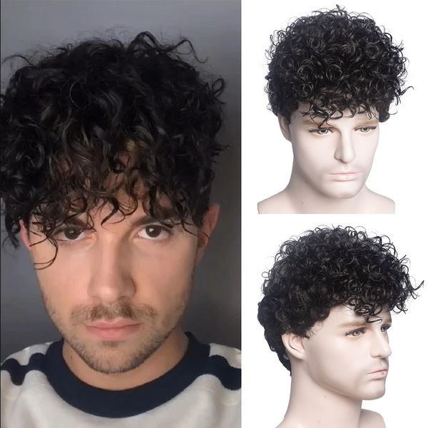 

men short curly synthetic wigs for mens daily wig ombre male curly heat resistant breathable, Black